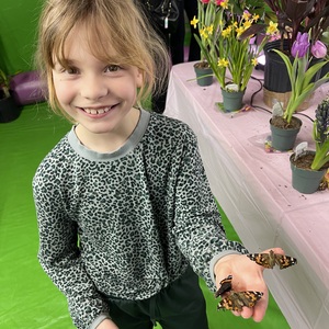 Addilyn